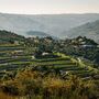 Entre o Douro e o Minho, encontrámos a Santa Teresa dos Vinhos Verdes