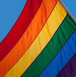 Organizações LGBTI+ criticam PSP,Chega e CDS por quererem alterar lei sobre mudança de sexo