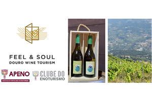 Passatempo Feel&Soul Douro Wine Tourism