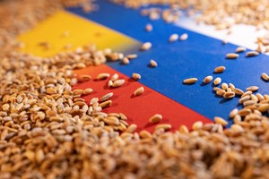 Rússia acusada de roubar e exportar cereais ucranianos