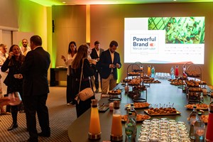 Estudo Powerful Brand