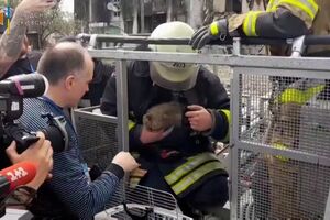 Bombeiros salvam gato de apartamento destruído em Borodyanka