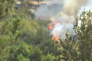 GNR deteve 36 pessoas pelo crime de incêndio florestal