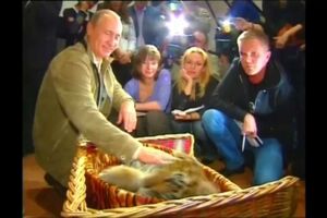 Estado de saúde de Putin deixa Kremlin "em crescente desordem e caos"