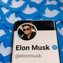 Acordo entre Elon Musk e o Twitter 'temporariamente suspenso'