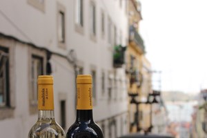 Mandriola de Lisboa, a nova marca de vinhos da Aveleda