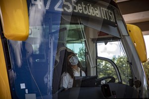 Carris Metropolitana. Mafra quer reforço de carreiras para Lisboa a partir de julho