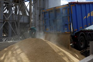 Governo: 'Rússia está a utilizar a fome como arma'