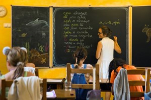 Pedagogia Waldorf. Neste bosque esconde-se uma escola