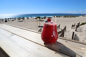 Comporta, lugar de sol, de espaço e de silêncio