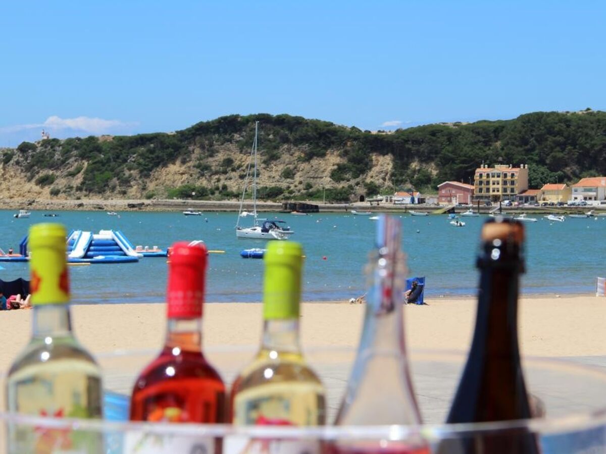 Os melhores brancos, tintos e rosés para o calor