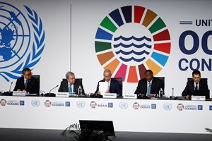 ONG fazem balanço da Conferência dos Oceanos da ONU