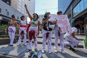 Médica que permitiu aborto a menina de 10 anos pode ser processada 