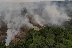 Amazónia brasileira atingiu valor de desflorestação recorde desde o início de 2022