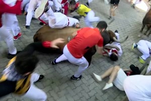 Touro “inverte a marcha” e surpreende foliões em San Fermín
