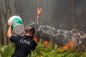 Incêndios em Penacova e Silves são os mais preocupantes