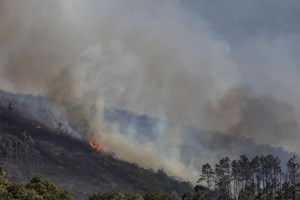 Cerca de 300 pessoas retiradas devido a fogo na Freixianda