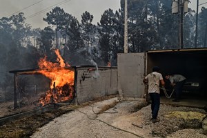 Fogo em Pombal combatido por centenas de bombeiros. Mais de dez incêndios em curso