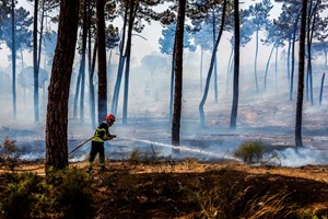 Incêndios: Portugal em situação de contingência até domingo