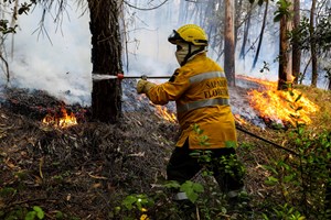Detidos três suspeitos de atear incêndios florestais