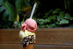 Quer gelado, sorvete ou granita? 