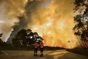 Bombeiros sub-30 que dão a Vida pela Vida: 'O melhor é reencontrar pessoas que socorri'