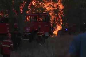 Situação de alerta de incêndios decretada pelo Governo prolonga-se até 15 de julho