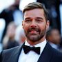 Ricky Martin acusado de violência doméstica
