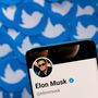 Twitter processa Elon Musk