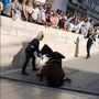 GNR: Cavalos filmados a cair em Coimbra “encontram-se bem”