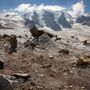 Depois das ondas de calor Alpes derretem a ritmo recorde