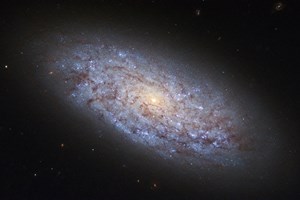 Telescópio em La Palma vai mapear cinco milhões de estrelas