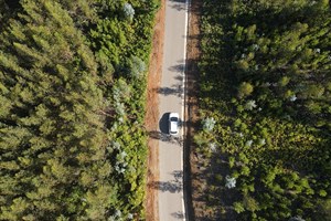Guerra aos incêndios: pouco ou nada foi feito depois de 2017