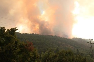 Mais de 620 bombeiros combatem incêndio na Covilhã, EN338 continua cortada