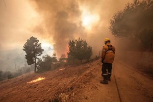 Quase trinta concelhos do País em risco máximo de incêndio