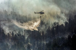 Incêndios: fogo não dá tréguas mesmo às portas de Manteigas