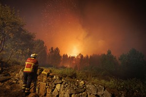 Incêndios: Frente em Vila Real continua a arder com intensidade 