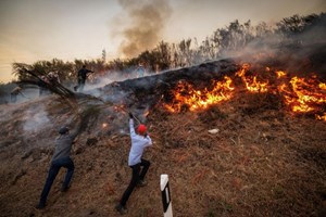 Dois detidos por atearem fogo em Mesão Frio