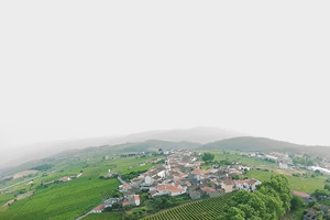 Casa velha, os novos brancos do Douro