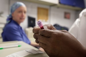 Identificados compostos que potenciam novas soluções no tratamento oncológico