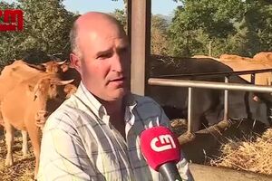 Criadores de gado desesperam com falta de água devido à seca