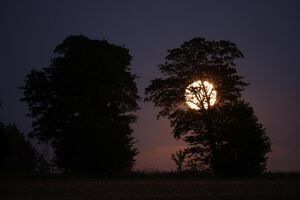 Super lua na Polónia.