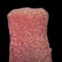 Como os espirros das esponjas-do-mar alimentam os outros animais
