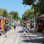 Cinco razões para ir à Feira do Livro de Lisboa
