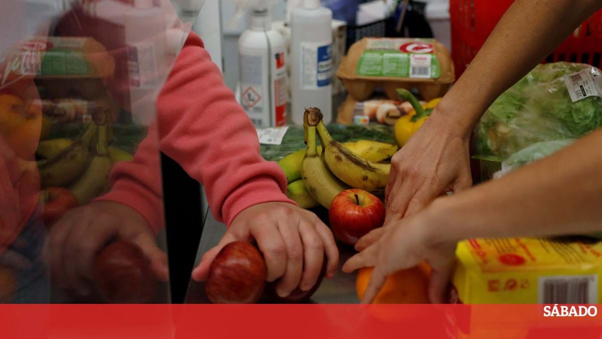 Como proteger a saúde do seu filho se ele quiser ser vegetariano - Vida -  SÁBADO