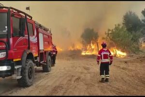 Estudo sobre os fogos