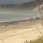 Encontradas 230 baleias encalhadas numa praia na Tasmânia