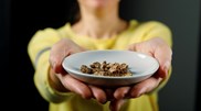 <![CDATA[ Especialistas apresentam hoje recomendações para uso clinico de psicadélicos  ]]>