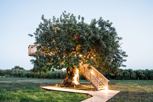 Cinco quartos no meio da floresta