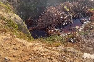 PROMO INVESTIGAÇÃO SÁBADO 9DEZ.mp4